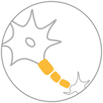 Neurologie